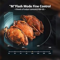 NEEWER 750II TTL Camera Flash Speedlite with LCD