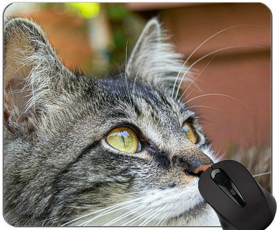 Amazon マウスパッド ブリティッシュショートヘア猫の若い灰色のマウスパッドパーソナライズ ステッチされたエッジを持つ猫マウスパッド Yanteng マウスパッド 通販