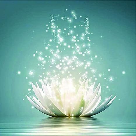 Amazon Co Jp Diy 5d ダイヤモンド絵画セット 光る蓮の花 ダイヤモンド刺繍絵画 リビングルーム装飾絵画 ホームクラフト 12x12インチ ホーム キッチン