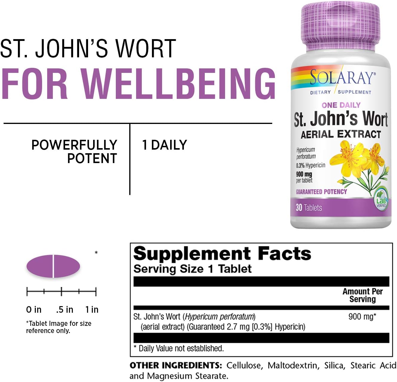 Solaray St. Johns Wort Aerial Extract One Daily 900mg | Standardized w/ 0.3% Hypericin for Mood Stability & Brain Health Support | Non-GMO | 60 Ct: Health & Personal Care