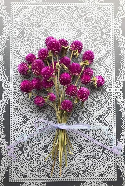 Amazon Co Jp ドライフラワー 千日紅 ローズネオン ハーバリウム ウェルカムボード 結婚証明書 作りに最適 25輪 家電 カメラ