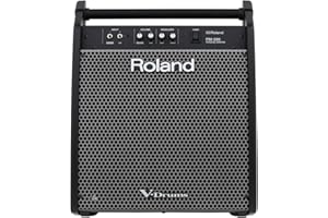 Roland PM-200 Compact Electronic V-Drum Set Monitor, 180 Watt (PM-200)