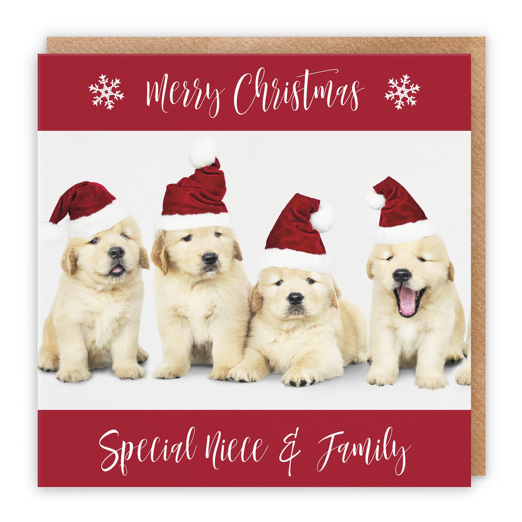 Hunts England - Niece And Family Christmas Card - Special Niece & Family - Puppy Collection - Fun Xmas Card