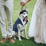 Kuoser Dog Tuxedo Wedding Suit and Bandana Set 5 Sizes Small to XXL view 5