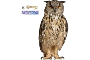 Fake Owl Decoy, Owl Bird Scarer with Sound, Realistic Owl Scarecrow, Waterproof Owl Bird Deter-rents Devices, Scare Birds Awa