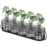 CUIWHRL Plant Propagation Stations,Plant Terrarium for Propagating Hydroponic,Glass Planter Flower Vase for Hydroponic Plants
