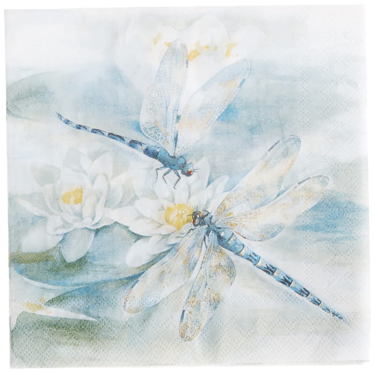 Boston International Ideal Home Range 20 Count 3-Ply Paper Cocktail Napkins, Dragonfly