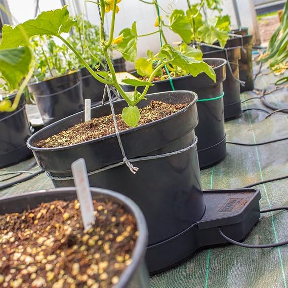 Sistema de riego automático de 4 plantas GoGro Essential ...
