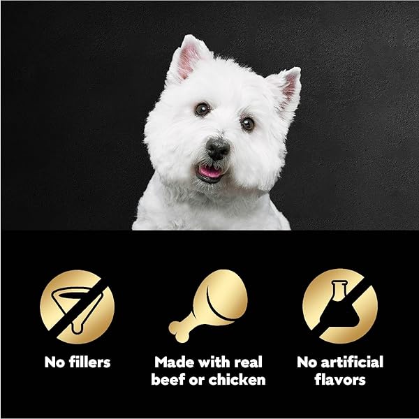 CESAR FILETS IN GRAVY WET DOG FOOD ROTISSERIE CHICKEN FLAVOR, FILET MIGNON FLAVOR, AND WOOD-GRILLED CHICKEN VARIETY PACK, WET FOOD FOR DOGS, 1.76 OZ. MINI-POUCHES, 40 COUNT