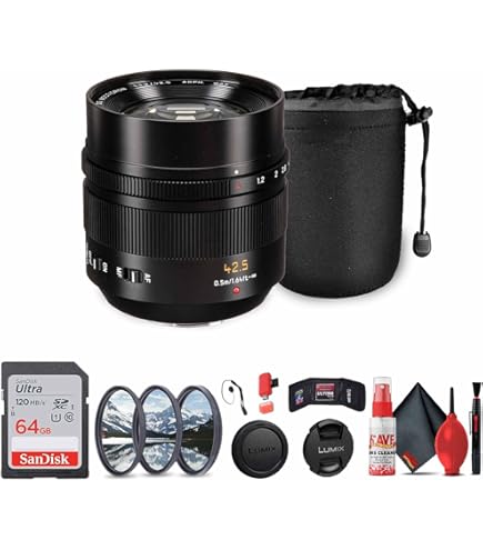 Amazon.com : Panasonic Leica DG Vario-Summilux 10-25mm Lens (H