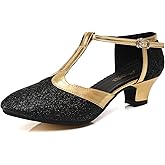 Women's Flapper Shoes T-Strap Vintage Gatsby 1920s Dance Shoes Latin Tango Salsa Ballroom Heels