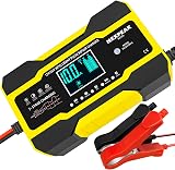 NEXPEAK 10-Amp 12V 24V Smart Battery Charger with Temperature Compensation