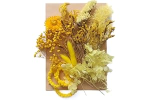 Liveish Natural Pressed Flowers Multiple Colorful Boho Mini Dried Flowers for Art Crafts DIY,Dry Flat Flowers Leaves for Resin Molds, Soap Candle Scrapbooking（Yellow）