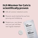 Itch Cat Flea and Wormer Bundle 1kg+ 3 Flea Pipettes 2 Worming Tablets view 6