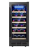 ICEVIVAL 15 Inch Wine Cooler Refrigerator, 28
