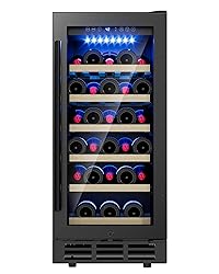 ICEVIVAL 15 Inch Wine Cooler Refrigerator, 28