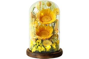 AIMEYE Sunflower Gifts for Women,Preserved Sunflowers Real Flowers in Glass Dome,Gifts for Grandma Mom Wife Mother in Law