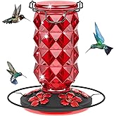 Glass Hummingbird Feeders for Outdoors Hanging, 25Oz Bird Nectar Feeder with Perch & 5 Flower Feeding Ports Leak Proof Hangin
