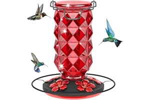 GRETE GOTYE Glass Hummingbird Feeders for Outdoors Hanging, 25Oz Bird Nectar Feeder with Perch & 5 Flower Feeding Ports Leak Proof Hanging for Garden Backyard Decor, Gifts for Women Mom, Red