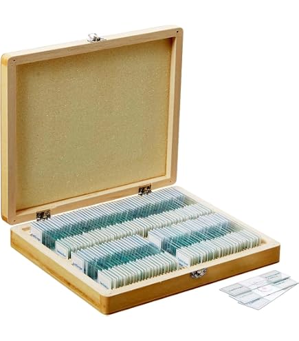 Microscope Graduation Slide Microscopes For Students Parasitology Microscope Slide Set - 30 ...