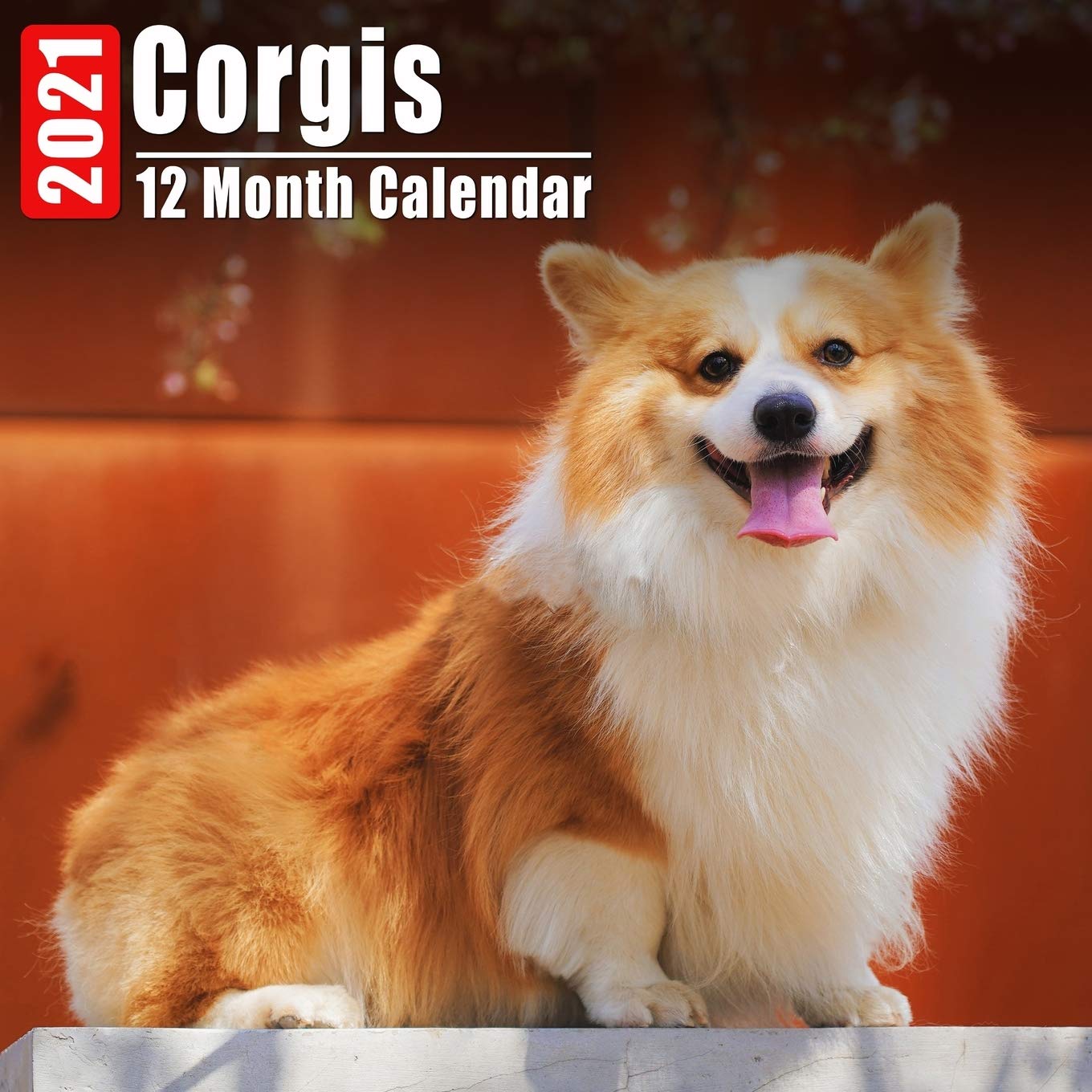 Calendar 2021 Corgis Cute Corgi Photos Monthly Mini Calendar With Inspirational Quotes Each Month Small Calendars Corgiz 9798667328506 Amazon Com Books