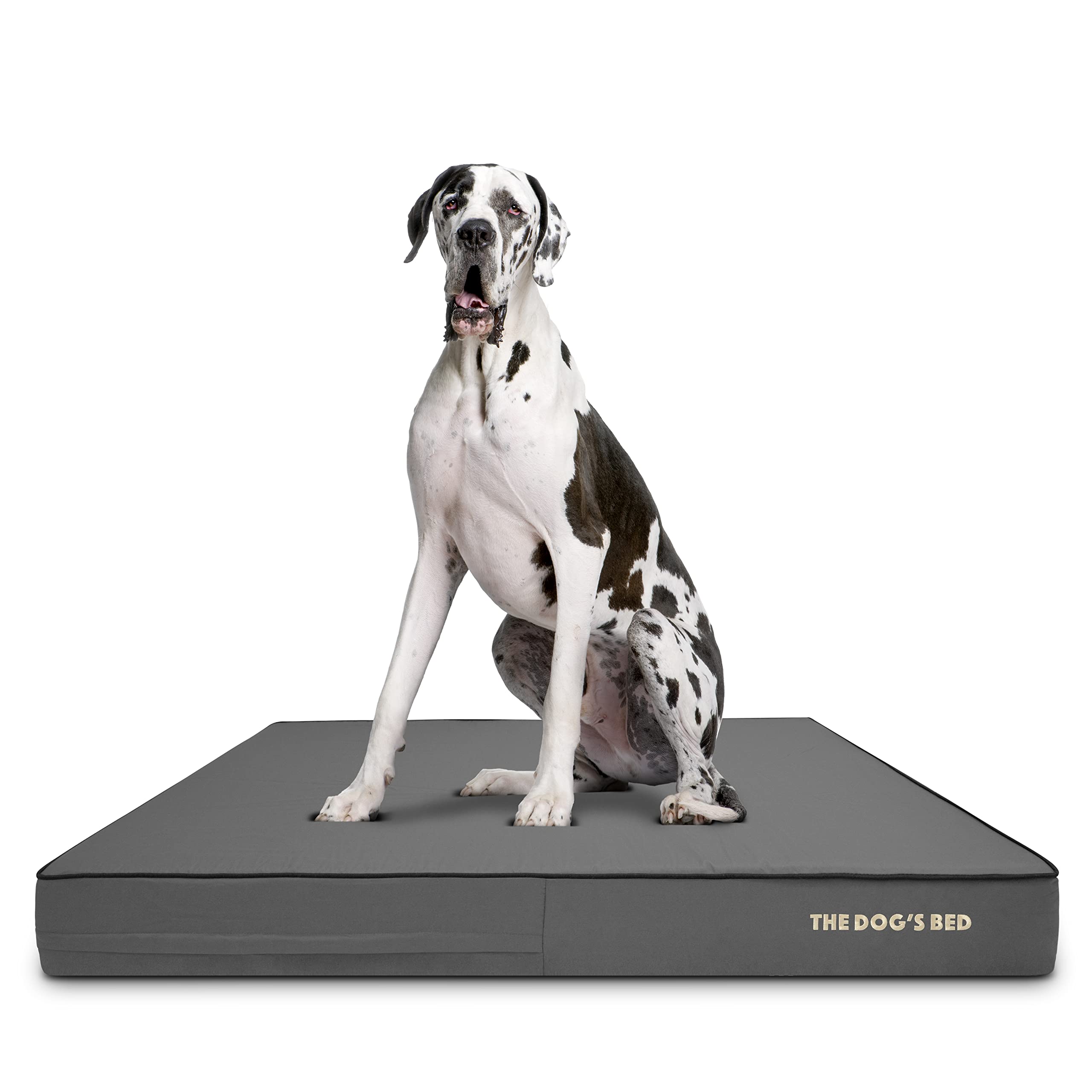 The Dog’s Bed Orthopaedic Memory Foam Dog Bed for XXL Dogs, Waterproof Support Mattress, Removable Washable Cover, Pressure Relief & Joint Support, Grey Oxford with Black Trim, 15cm Thick