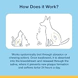ProDen PlaqueOff 120 Soft Chews Cat Dental Care Salmon Flavor view 3