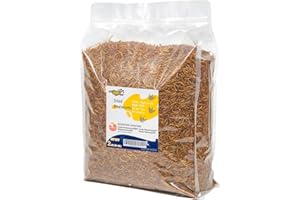 RANZ 2LBS Non-GMO Dried Mealworms for Chickens, High Protein Meal Worms, Premium Chicken Feed, Whole Large Mealworms for Blue Birds, Ducks, Fish