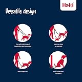 Halti Training Lead double ended no-pull small 2m burnt orange view 4