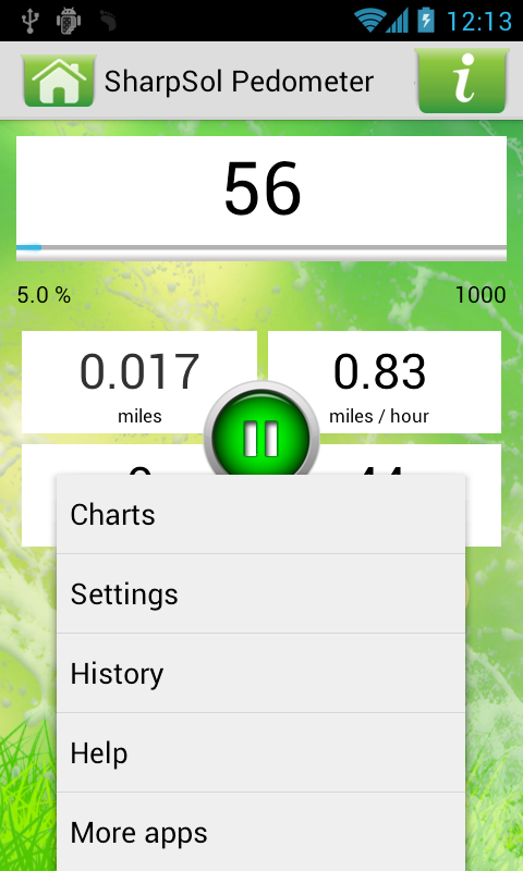 Pedometer Steps Counter