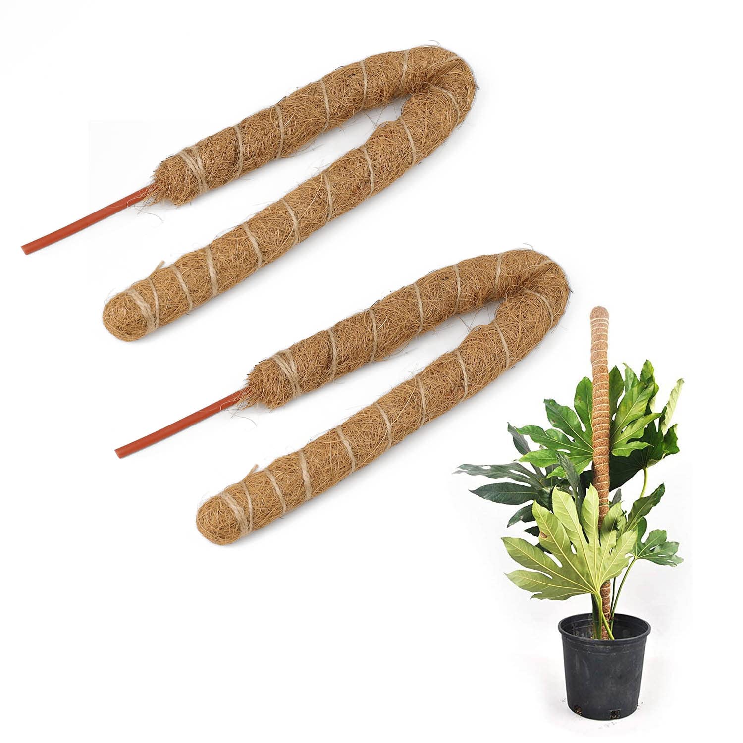 2 Pcs Plant Supports for Indoor Plants, CHSEROK 60 cm Bendable Moss Poles, Monstera Support, Plant Stakes, Plant Support Indoor Suitable for Indoor Potted Plants, Climbing Plants