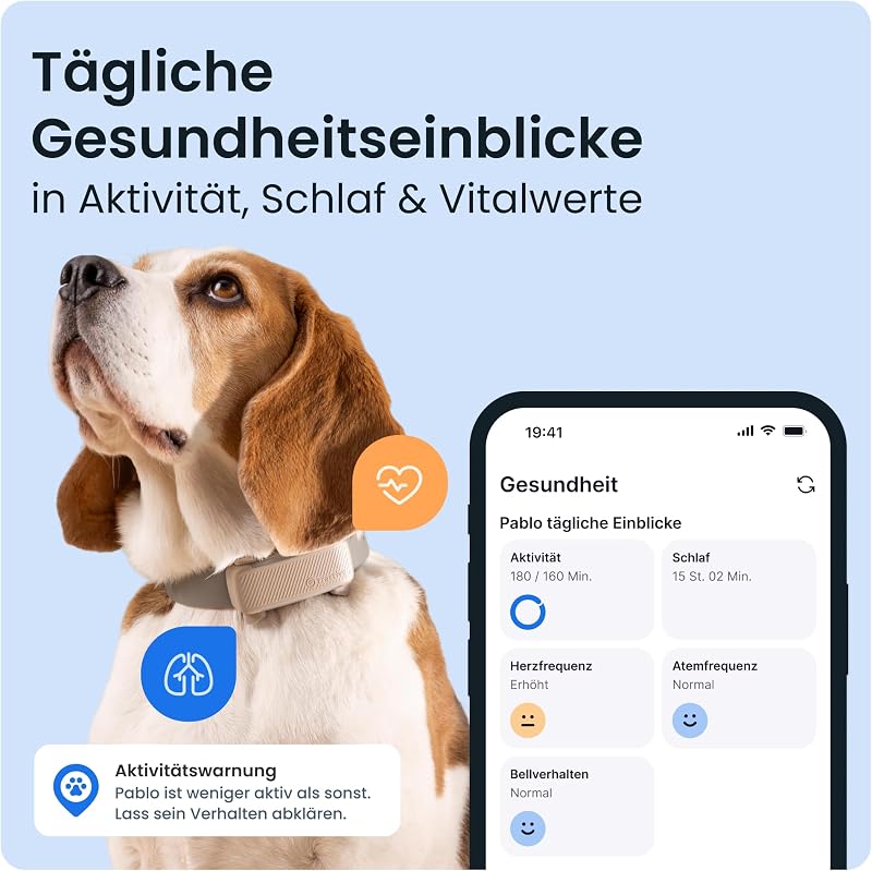 GPS Tracker Hund | 2025 Edition | Live-Ortung | Weglaufalarm | Aktivitätstracking | Gesundheitswarnungen | Bellverhalten | Empfohlen von Martin Rütter (Braun)