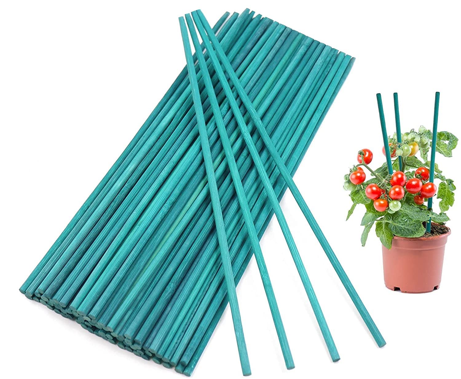 KAHEIGN 100Pcs Plant Support Sticks, 30cm Bamboo Stakes Split Support Cane Sticks for Home Garden Flowers Florals Plants (Green)