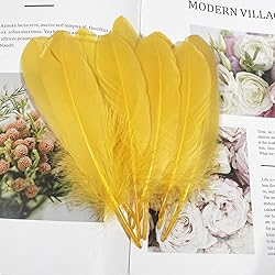 Lampu Natural Goose Feathers 15-20cm/6-8 inches