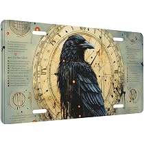 Amazon.com: Generic Ancient Crow and Viking Runes Old License ...