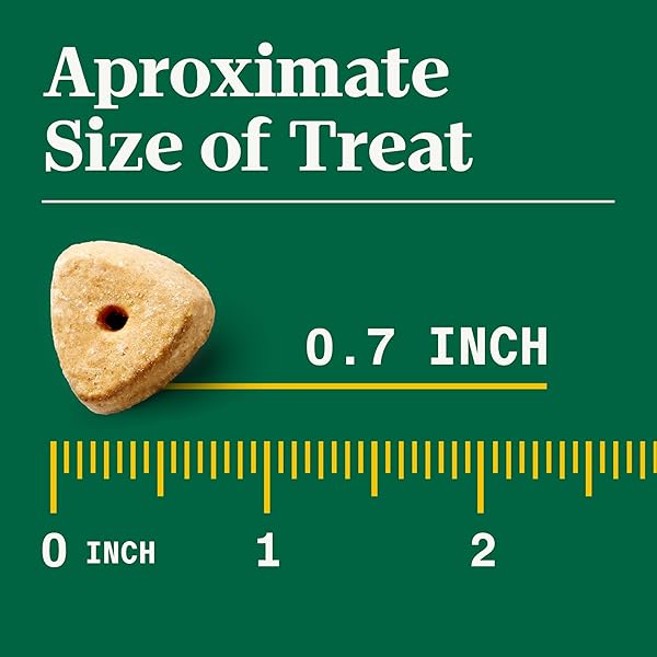 NUTRO CRUNCHY DOG TREATS WITH REAL APPLE, 16 OZ. BAG