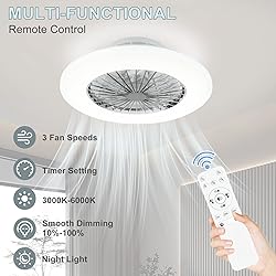 DLLT Ceiling Fan with Led Lights, 20'' Modern