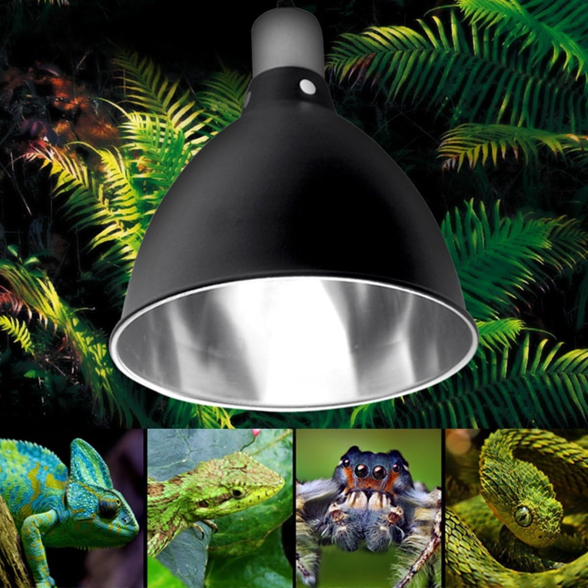 reptile lamp shade