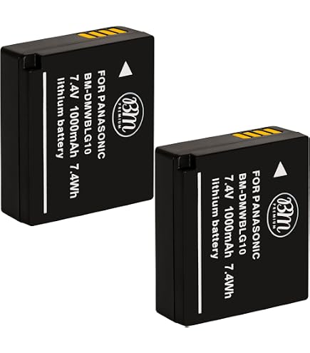 Amazon.com: VINTRONS Replacement Battery for PANASONIC Lumix DMC