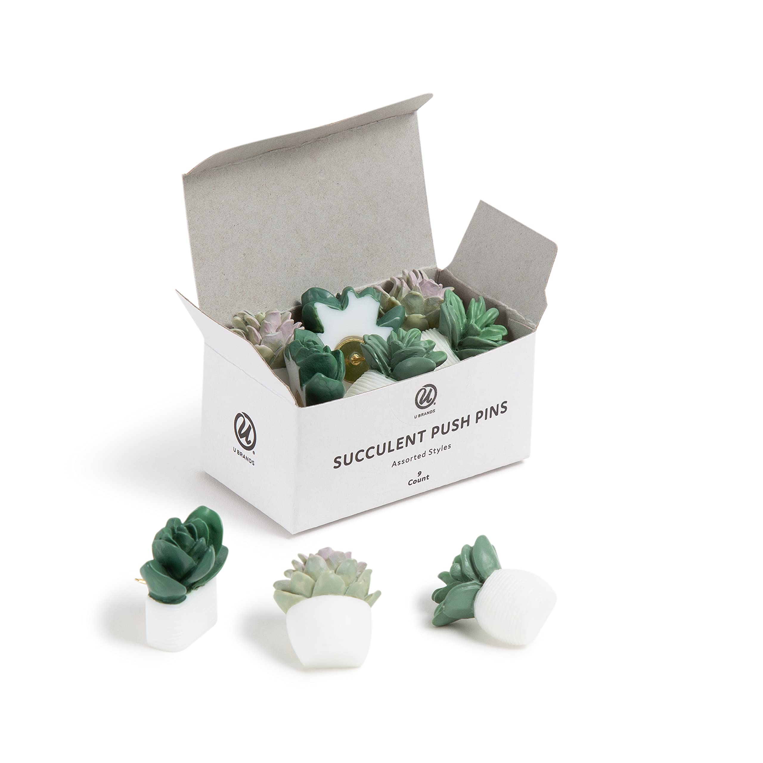 Photo 1 of U Brands Succulent Push Pins Set, Office Supplies, Three Assorted Styles, 9 Count
