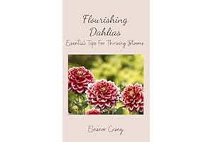 Flourishing Dahlias: Essential Tips For Thriving Blooms