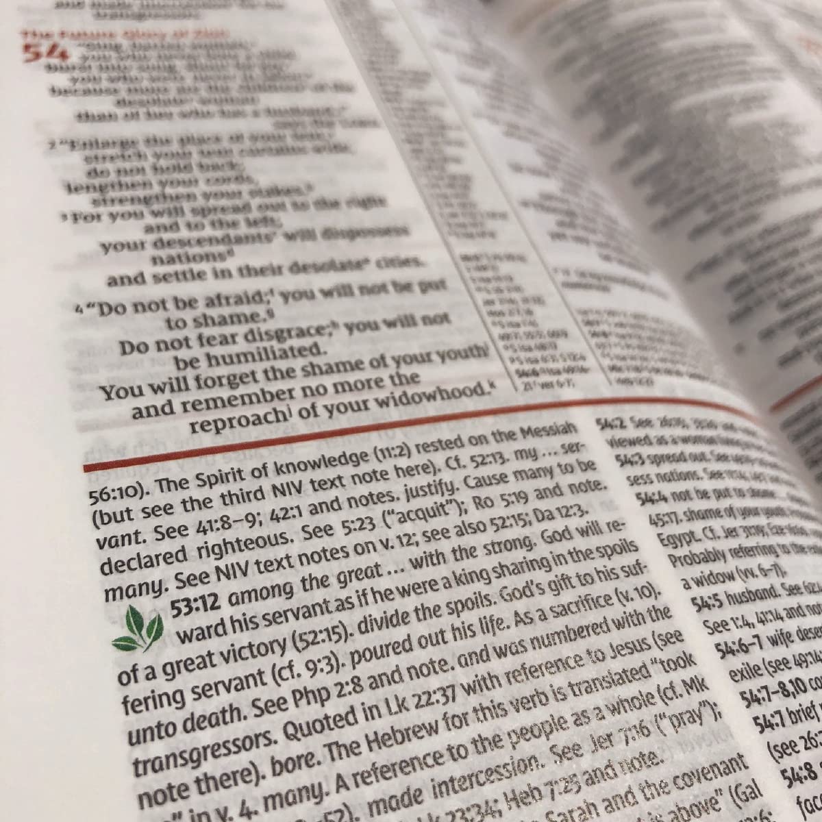 NIV Study Bible, Fully Revised Edition (Study Deeply. Believe Wholeheartedly.), Hardcover, Red Letter, Comfort Print