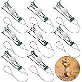 Qualirey 8 Pcs Gopher Trap with Chain Mole Vole Trap,Green | Gopher Trap Stainless Steel Weather Resistant for Lawn Garden Farm Outdoor