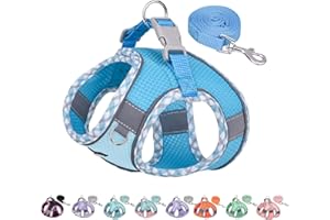 AIITLE No Pull Dog Harness and Leash Set, Step in Adjustable Dog Harness with Padded Vest for Spring, Reflective Adjustable Pet Harness, Easy to Put on Small Dogs Blue S