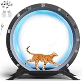 GTPLAYER Cat Wheels, 40" Diameter, Large Cat Exercise Wheel for Indoor Cats cat Treadmill Metal with Detachable Carpet &amp; Teaser/Stickers, Ultra-Quiet Scroll Wheel with Latch, Safe and Stable, Grey