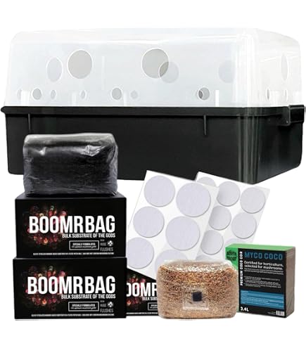 thumbnail image 2 of Morel Mushroom Spores In Sawdust Bag – Garden Grow Kit, Makes 5 Gallons, Fresh Inoculated, Free Shipping 2 of 5