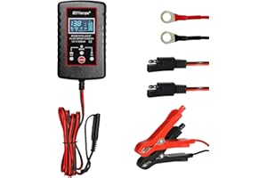 Fkewp Car Battery Charger, 6V/12V Smart Pulse Battery Repair & Desulfator with ASE Adapter Cable, Intelligent Automatic Trick