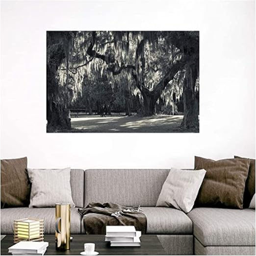 Amazon ジョージア ジキル島 ライブオークの木ファインアートポスタープリント 木の家の装飾アートワークキャンバス絵画ポスターリビングギフト 50x70cm フレームなし ウォールステッカー オンライン通販