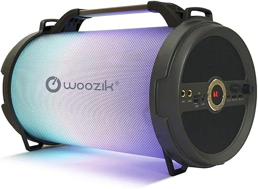 boom go portable wireless speaker