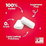 PUR Gum Sugar Free Cinnamon Chewing Gum 55 Pieces Pack of 3 Vegan Xylitol view 4